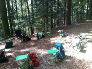 Waldbaden Shinrin Yoku Ausbildung im Wald