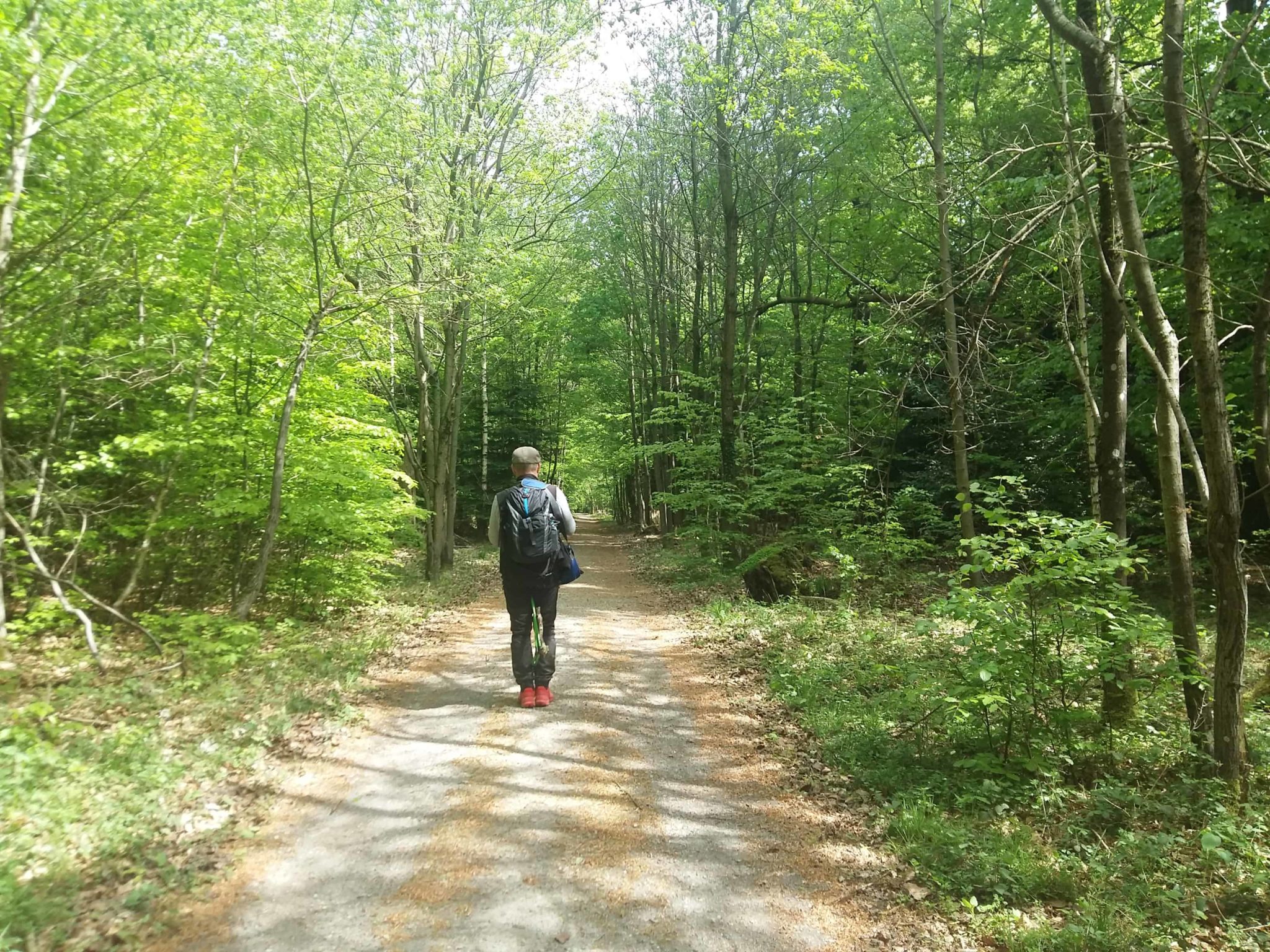 Waldbaden Naturtherapie Ausbildung