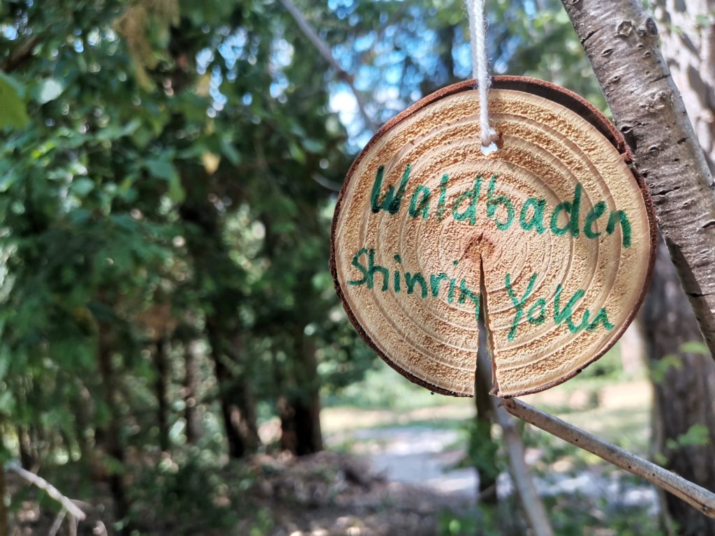 Ausbildung in authentisches  Shinrin Yoku/Waldbaden